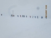 24174484_1480382882081801_1974614102760153766_n